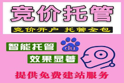 某行业SEM竞价优化案例分享